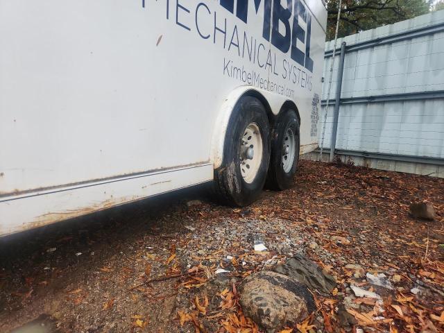 2020 CALICO UNKNOWN #3294405508