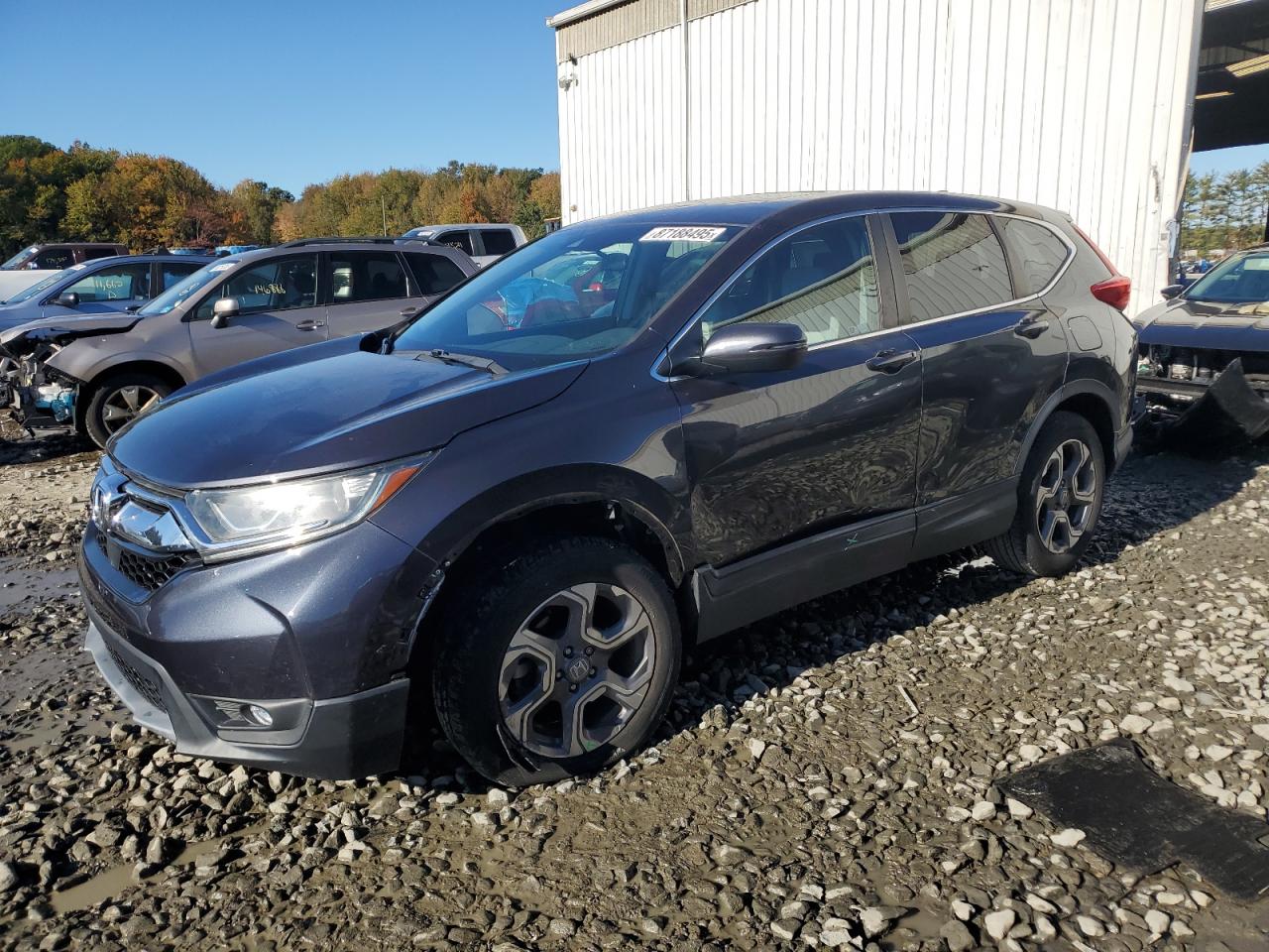HONDA CR-V EX