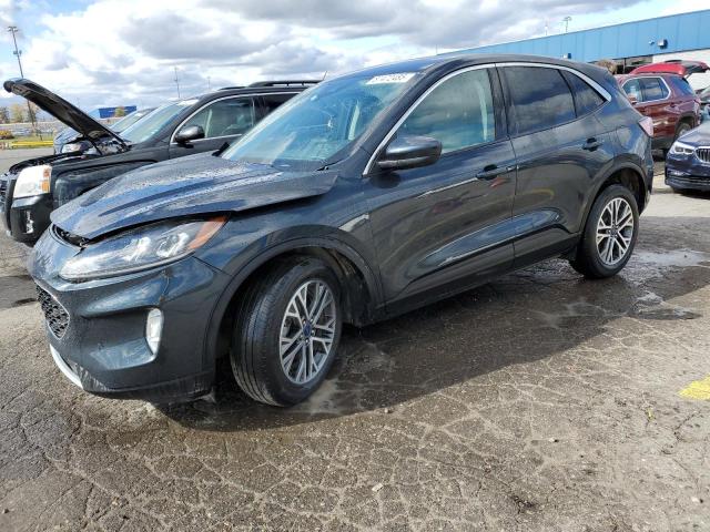 Global Auto Auctions: 2022 FORD ESCAPE SEL