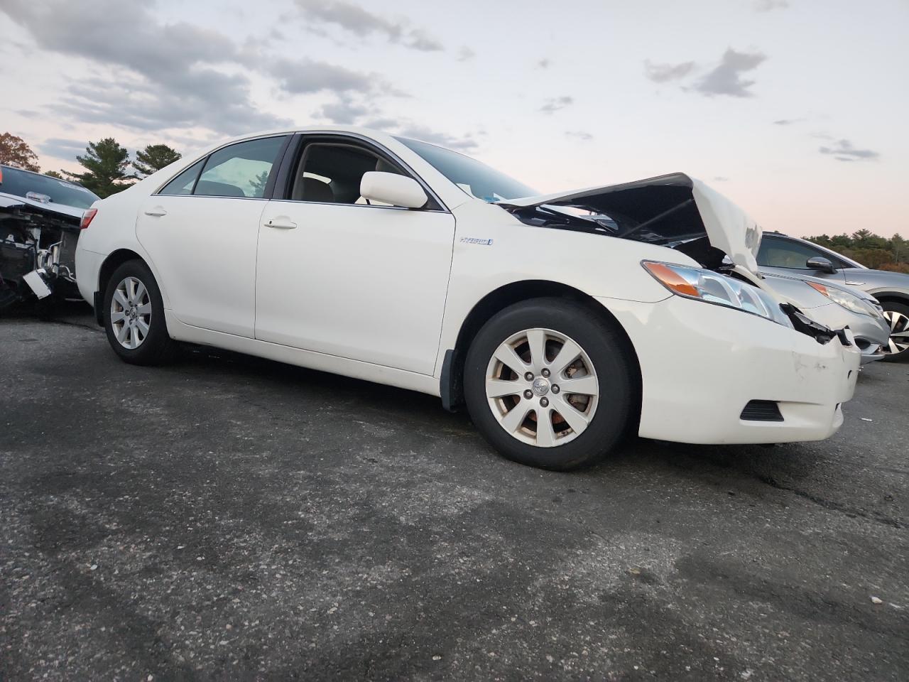 Lot #3276628077 2009 TOYOTA CAMRY HYBRID