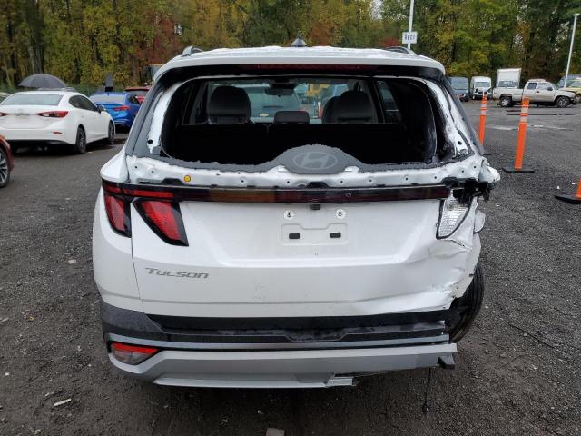 2025 HYUNDAI TUCSON SEL 3KMJB3DE8SE023667