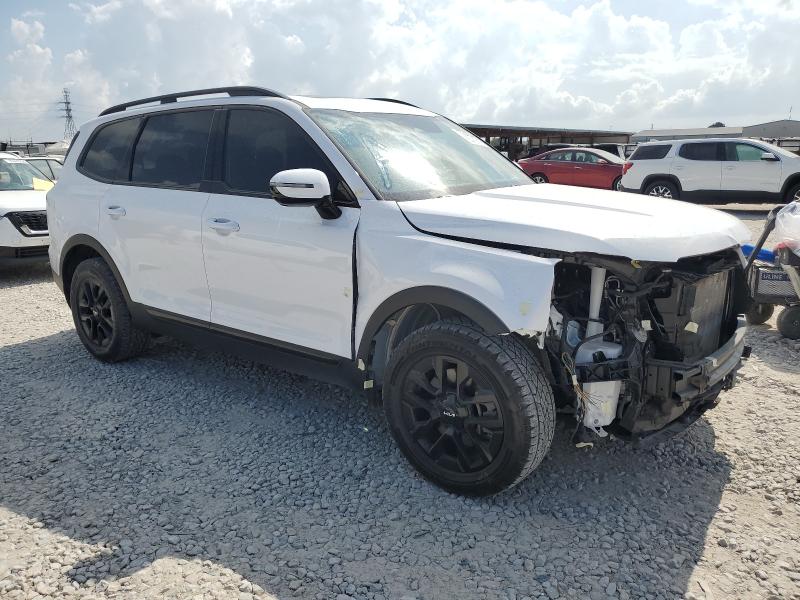 2024 KIA TELLURIDE #3303865698