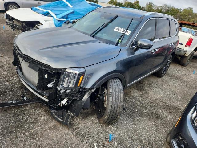 2024 KIA TELLURIDE #3294414495