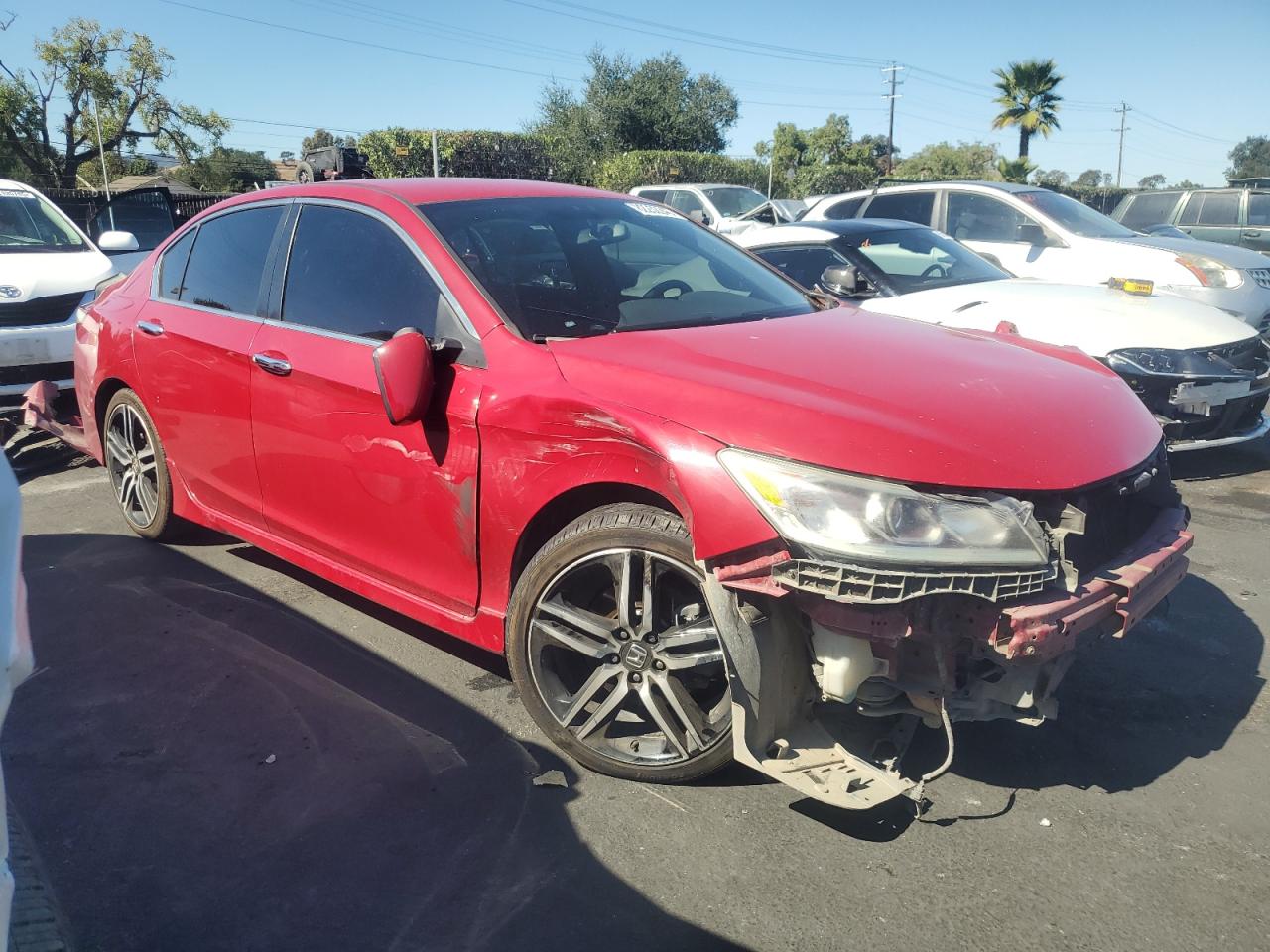 HONDA ACCORD SPORT SPECIAL EDITION