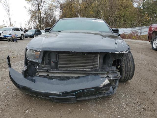 2010 FORD MUSTANG GT - 1ZVBP8CHXA5103335
