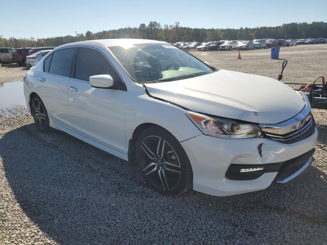 Lot #3309624086 2017 HONDA ACCORD SPO