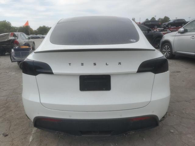2021 TESLA MODEL Y #3287595019