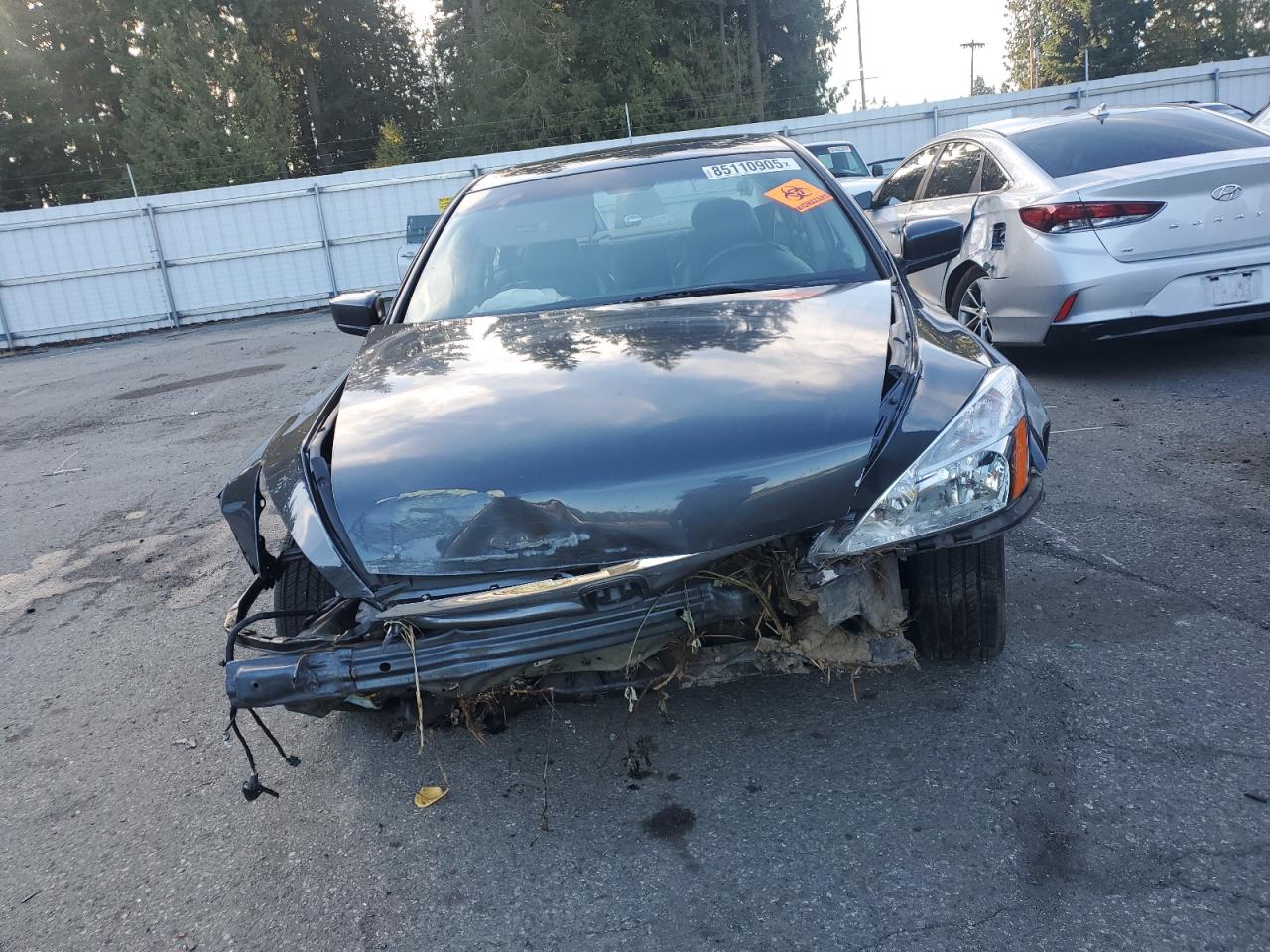 Lot #3276535056 2006 HONDA ACCORD EX