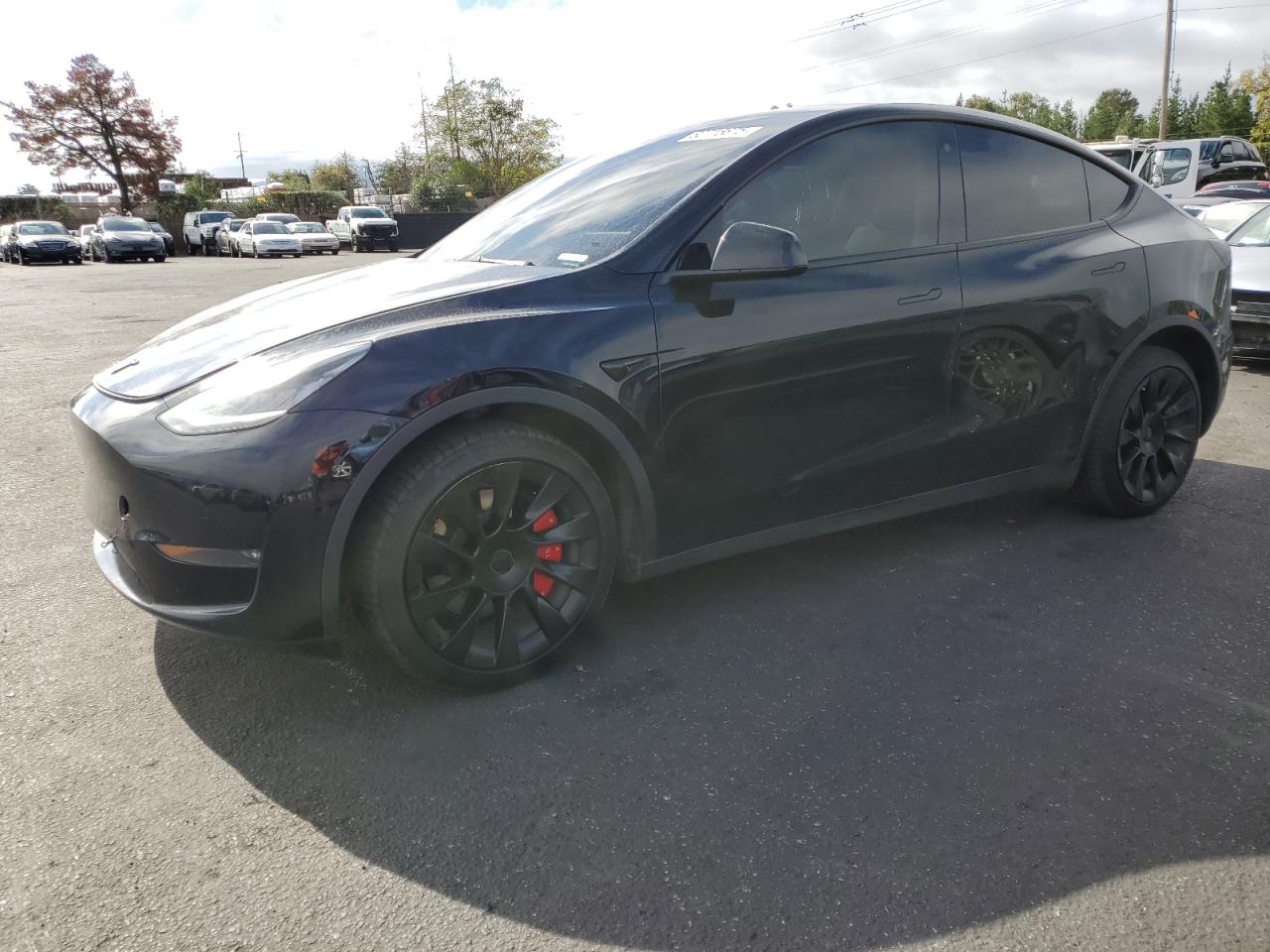 TESLA MODEL Y