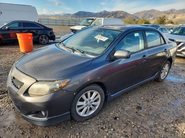 Global Auto Auctions: 2010 TOYT COROLLA BASE