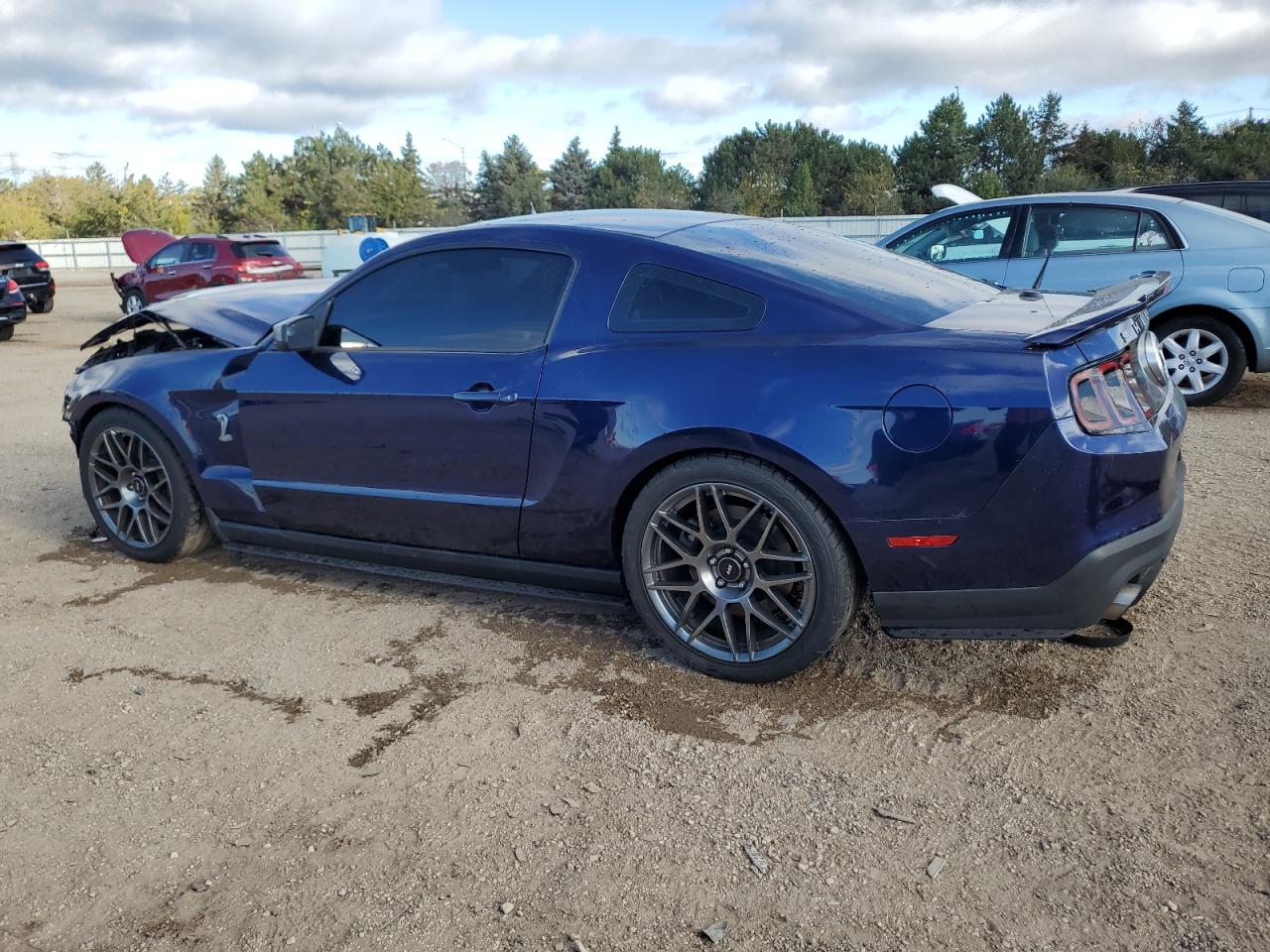 FORD MUSTANG SHELBY GT500