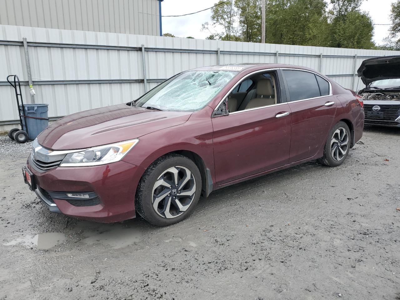Lot #3284703966 2016 HONDA ACCORD EXL