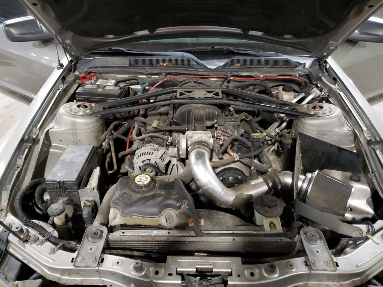 Lot #3302887893 2009 FORD MUSTANG