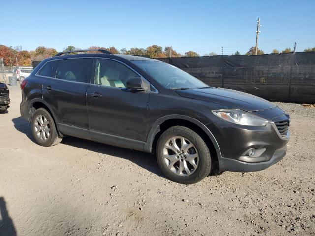 2015 MAZDA CX-9 SPORT JM3TB2BA6F0454486