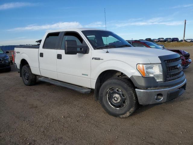 2014 FORD F150 SUPER - 1FTVW1ET3EKF11825