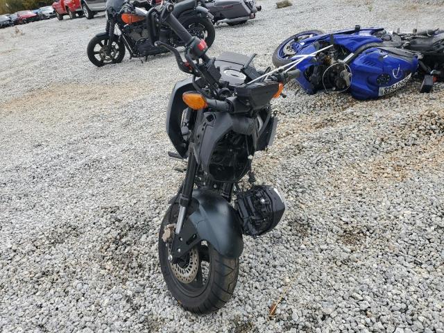 2025 HONDA GROM 125 #3316977073