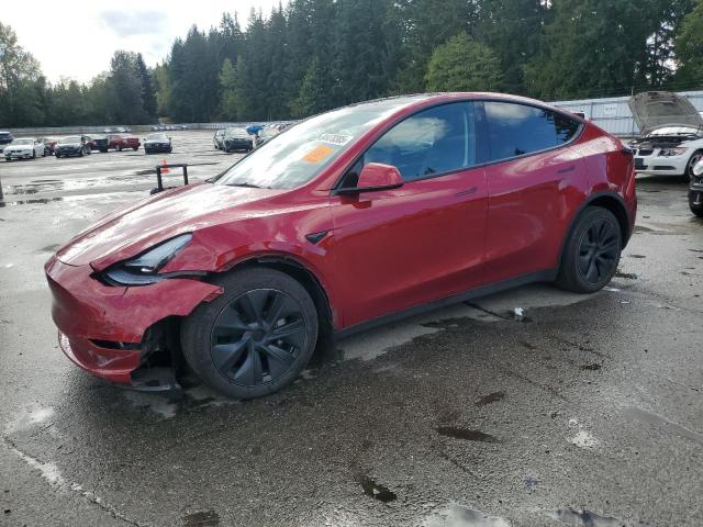 2025 TESLA MODEL Y - 7SAYGDEE9SF244389