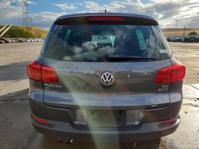 2016 VOLKSWAGEN TIGUAN S WVGBV7AX5GW556421