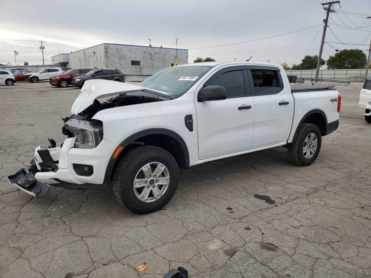 Lot #3264452413 2024 FORD RANGER XL
