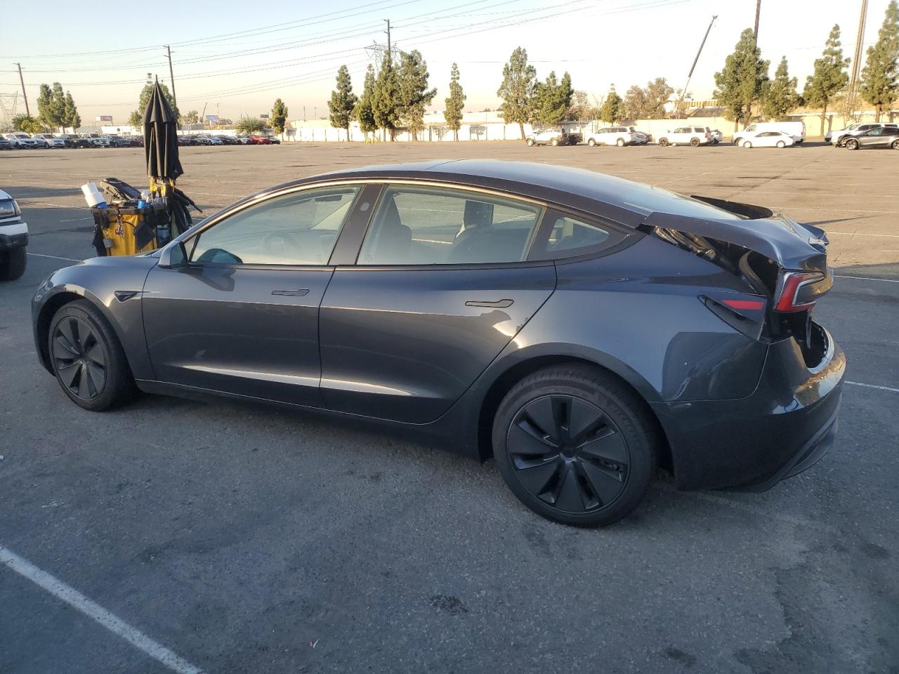 Lot #3311839193 2025 TESLA MODEL 3