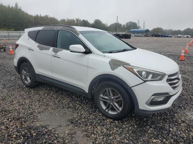 2017 HYUNDAI SANTA FE S - 5NMZU3LBXHH011173