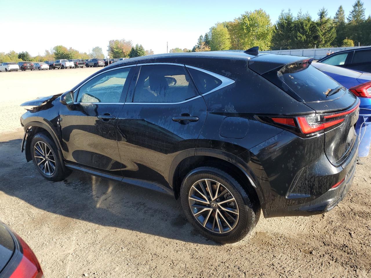 LEXUS NX 350H BASE