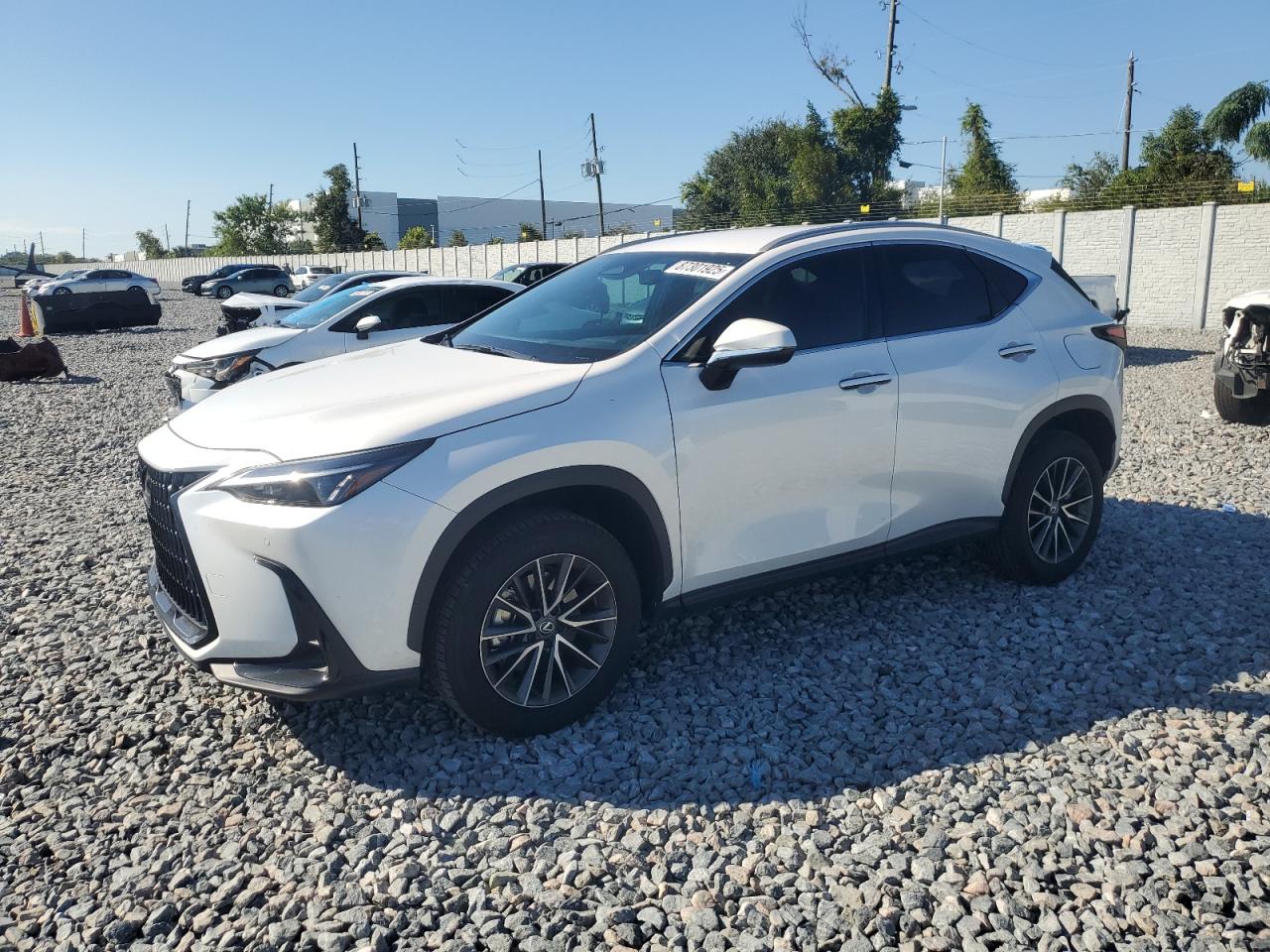 LEXUS NX 250 BASE