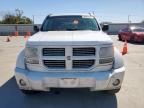 Lot #3303045675 2011 DODGE NITRO HEAT