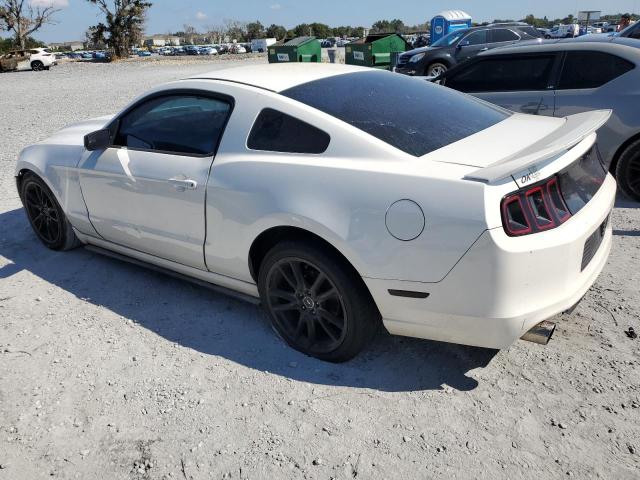 2013 FORD MUSTANG #3279505258