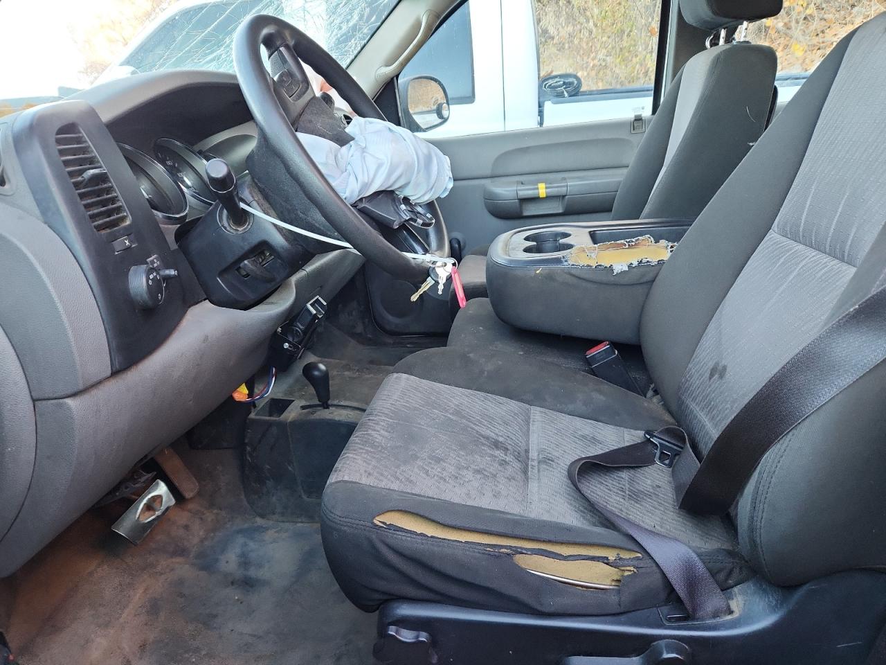 Lot #3285015951 2009 CHEVROLET SILVERADO