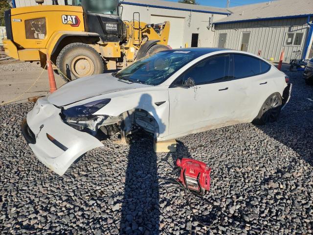 Global Auto Auctions: 2021 TESLA MODEL 3