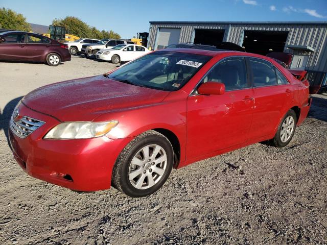 Global Auto Auctions: 2009 TOYOTA CAMRY SE