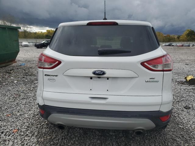2014 FORD ESCAPE SE - 1FMCU0GX9EUB17091