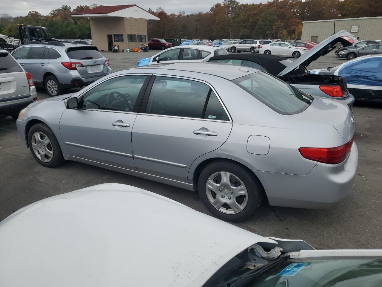 Lot #3280392949 2005 HONDA ACCORD EX