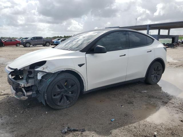 2021 TESLA MODEL Y #3303919699