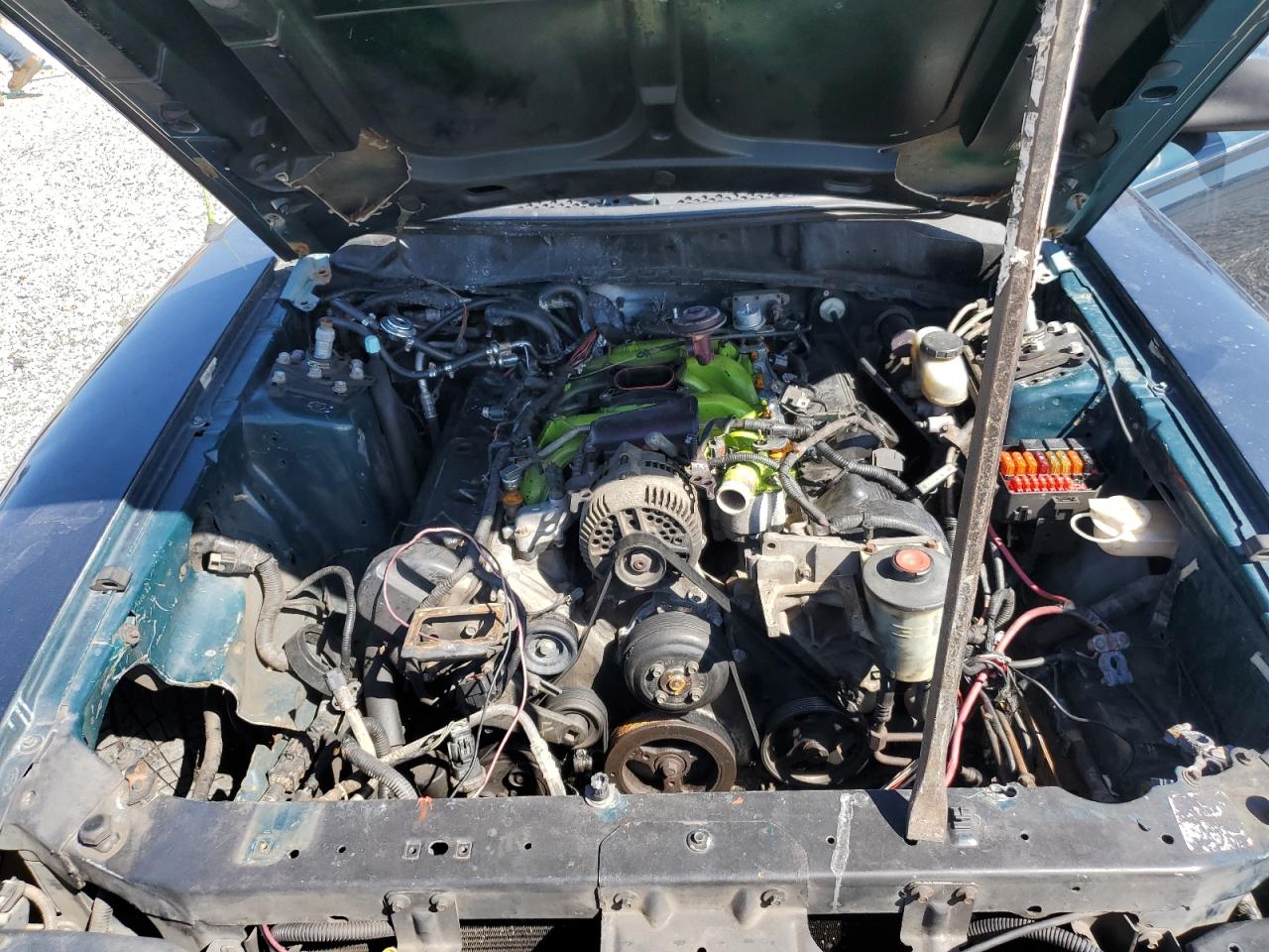 Lot #3284027813 1996 FORD MUSTANG GT