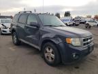 Lot #3301964464 2009 FORD ESCAPE XLT