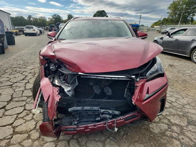 2020 LEXUS NX 300 BAS #3301793338