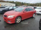 Top Destinations for Shipping Cars from the USA