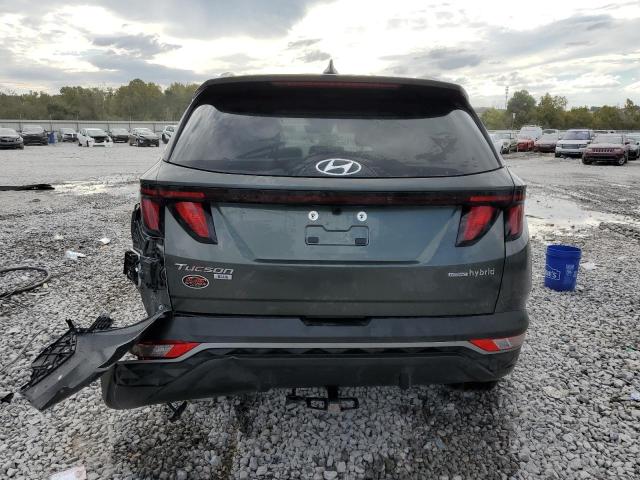 2024 HYUNDAI TUCSON BLU KM8JBCD16RU234759