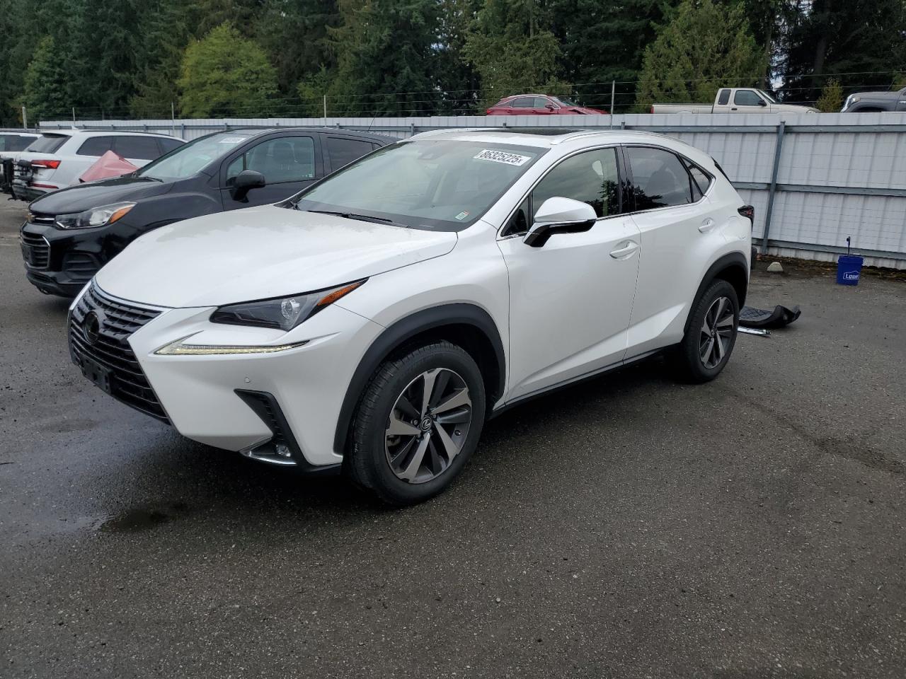LEXUS NX 300