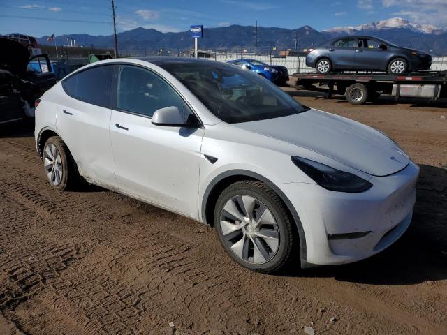 2023 TESLA MODEL Y #3294813749