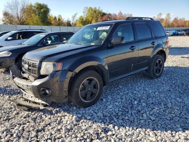 Global Auto Auctions: 2011 FORD ESCAPE XLT
