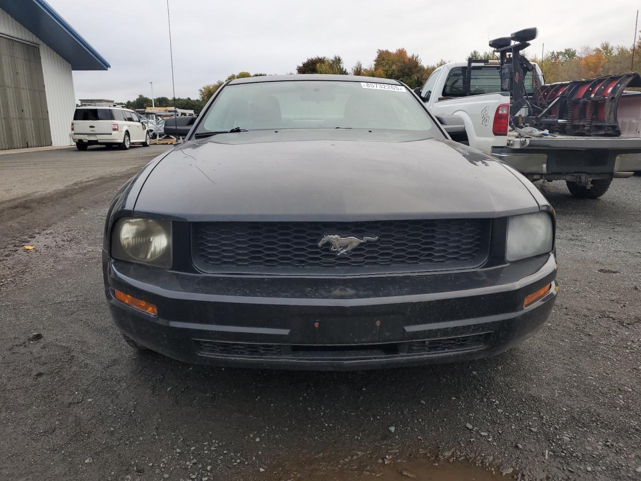 Lot #3264673865 2006 FORD MUSTANG