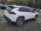 Lot #3304692903 2024 TOYOTA RAV4 XLE