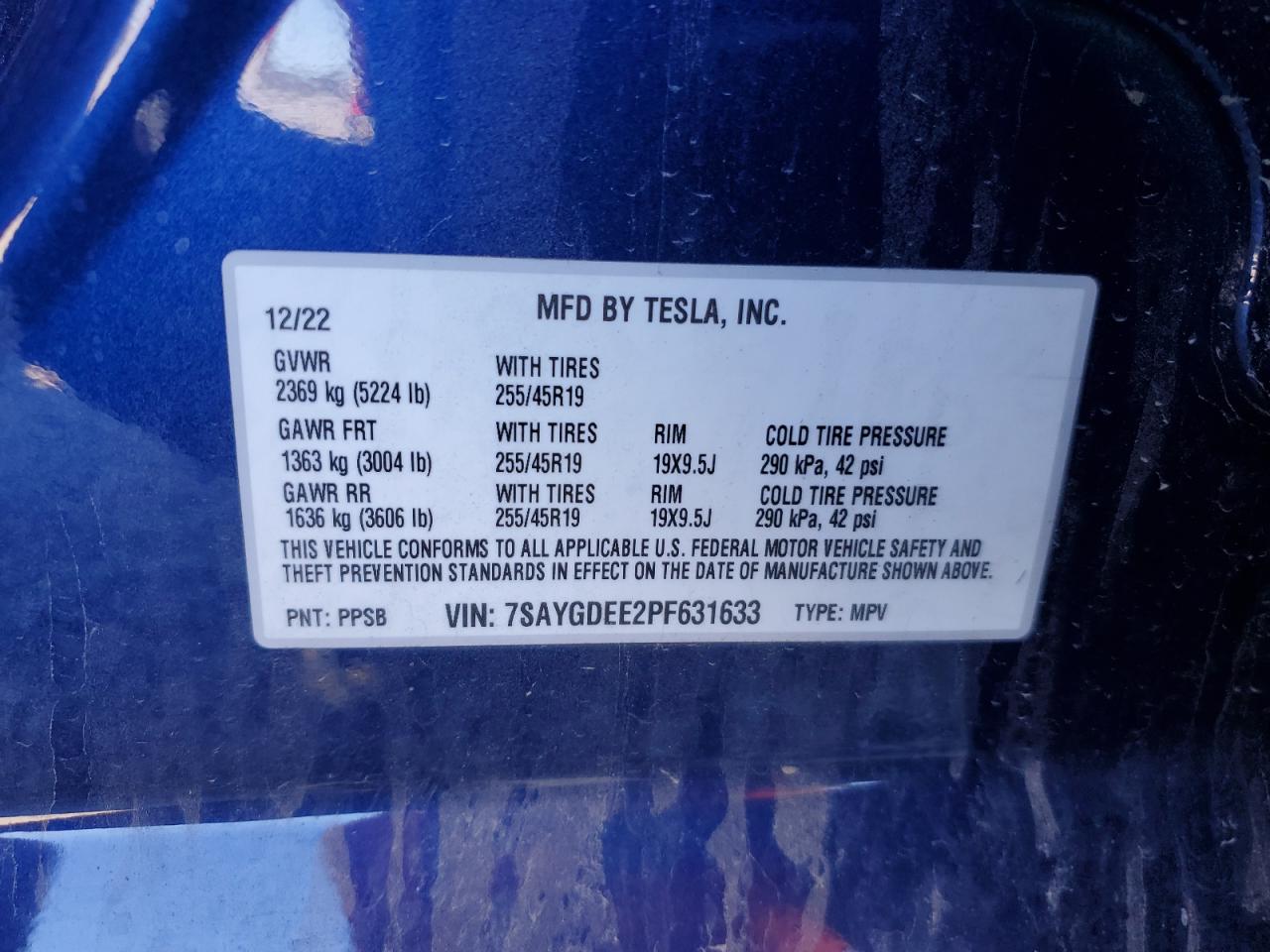 TESLA MODEL Y