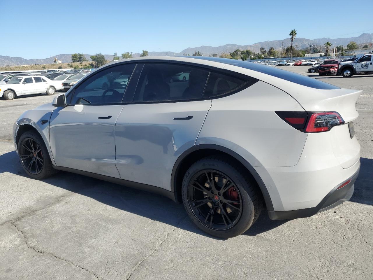 TESLA MODEL Y