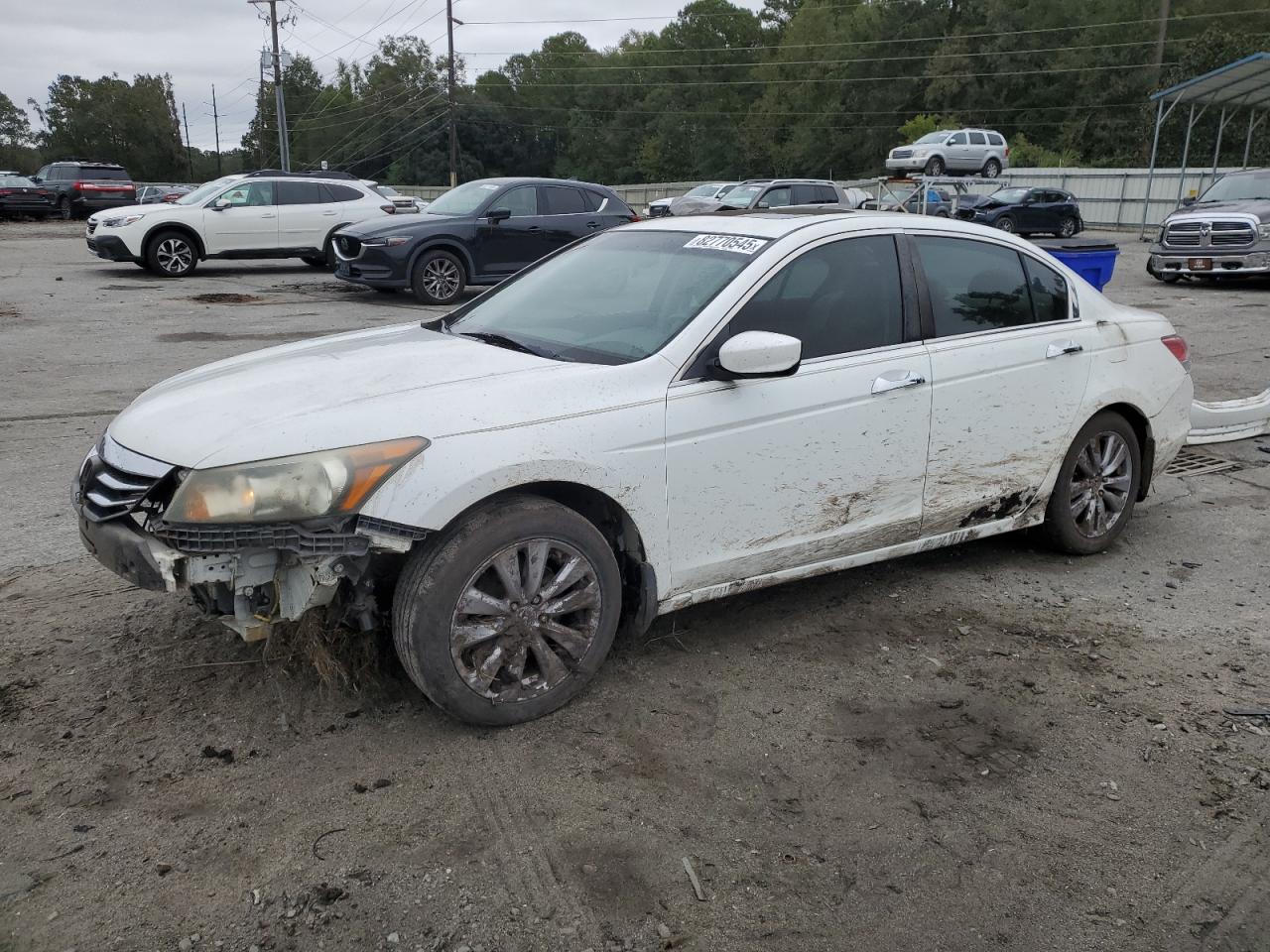 HONDA ACCORD EXL