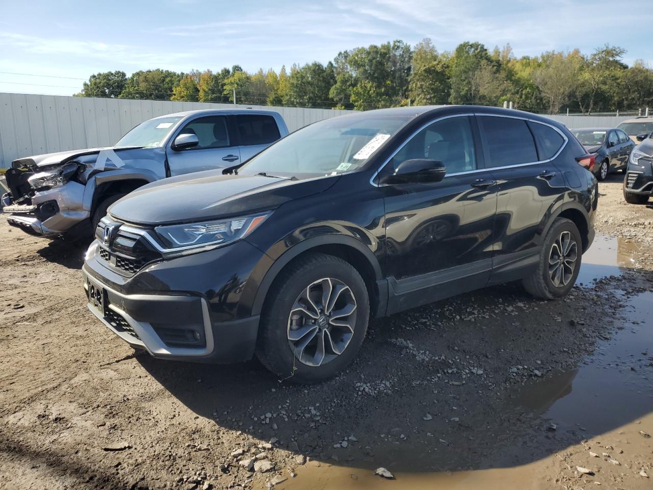 HONDA CR-V EX