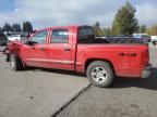Lot #3293688393 2006 DODGE DAKOTA QUA